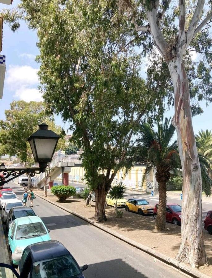 Casa Eucalipto Ξενοδοχείο Λας Πάλμας ντε Γκραν Κανάρια Εξωτερικό φωτογραφία